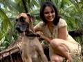 Vacationing with animals in Goa