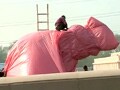 Video : The 9 O'clock News: The biggest stories (Jan 9, 2012)