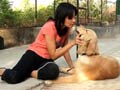 Seema re-visits the Pet sitters in Pune