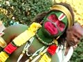 Video : On a festive Sunday, India celebrates Makar Sankranti, Pongal