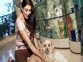 Yukta's first love Mushi
