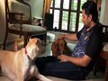 Varun-Raageshwari's pampered pooches