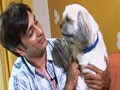 Meet Rajiv Paul's hero Gabbar Singh Paul