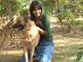 At Pune's largest animal shelter