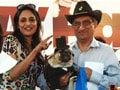 A carnival of dogs in Mumbai
