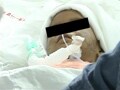 Video : 'There are a thousand baby Falaks in our country'