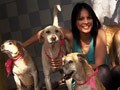 An NGO for animals in Vadodara