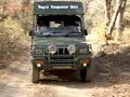 Video : Rapid Response Unit in Ranthambore