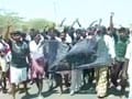 Video : The 9 O'clock News: The biggest stories (Mar 21, 2012)