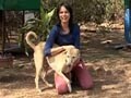 Seema visits Rescue Charitable Trust again