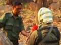 नक्सलियों ने एक इटालवी नागरिक को किया रिहा