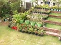 Video: A terrace garden to change lives