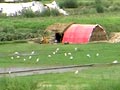 Video : Unrelenting summer scorches North India
