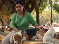 Beagles, big surprise in a small package