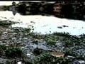 Video: India's water bodies dying a slow death
