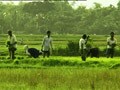 अभी सताती रहेगी गर्मी, मॉनसून में देरी