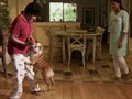 Heavy Petting season finale in Ooty