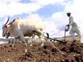 Video : The 9 O'clock News: The biggest stories (Jul 2, 2012)