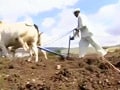 Video: Shadow of drought across North & Central India