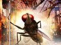 Video : With housefly as its hero, Telugu film Eega has buzzzzz