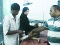 Video : Another ward boy in Uttar Pradesh seen giving stitches