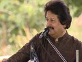 Video : Save Our Tigers: Pankaj Udhas delves deep into music