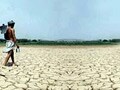 Video: With drought looming large, government gears up with contingency plan