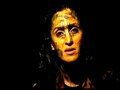 Video: I Am The Tiger, a play for the tiger by Shivani Wazir Pasrich