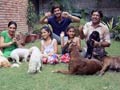 Heavy Petting with the Kumars