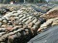 Video: In Punjab, government pays high price to buy foodgrain from private mills
