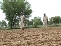 Video : Not a drought, but drought like situation