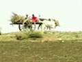 Video : NDTV ground report from drought-hit Satara