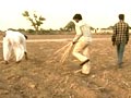 Video: Five districts in Rajasthan face crop failure