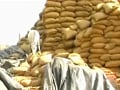 Video : Foodgrain worth Rs. 250 cr rot in Maharashtra godown, state blames Centre