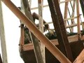 Video : Armyman climbs 200-ft tower to protest threat from officer