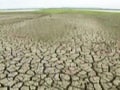 Video : Maharashtra drought: Jalna, a parched district