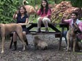 Heavy Petting with the Menons