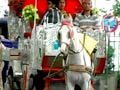 Video : Mumbai speaks for its horses