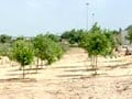 Video : Green revolution in deserts of Israel