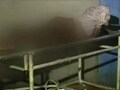 Video : Man left to die in corridor of Jammu hospital