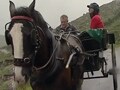 Holiday in Ireland