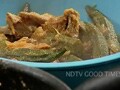 Mutton With Okra Curry