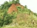 Video: Guwahati's timber mafia