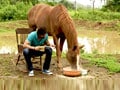 Get to know more about animal laws