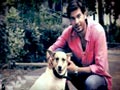 Heavy Petting: Be A Volunteer