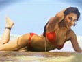Hunt For The Kingfisher Calendar Girl 2013 Episode 1: The fight begins