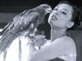Hunt For The Kingfisher Calendar Girl 2013 Episode 4: A win for Lin