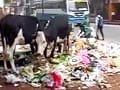 Video: Bangalore garbage crisis: Karnataka High Court questions municipal authority