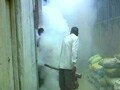 Video : No respite from Dengue despite dropping temperatures