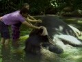 Keith enjoys an elephant ride in Sri Lanka